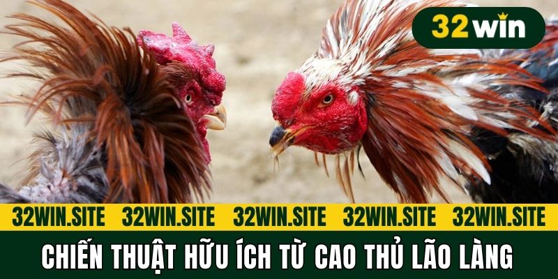 Chiến thuật hữu ích từ cao thủ lão làng