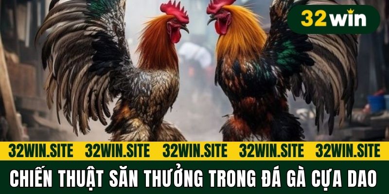 Chiến thuật săn thưởng trong Đá gà cựa dao