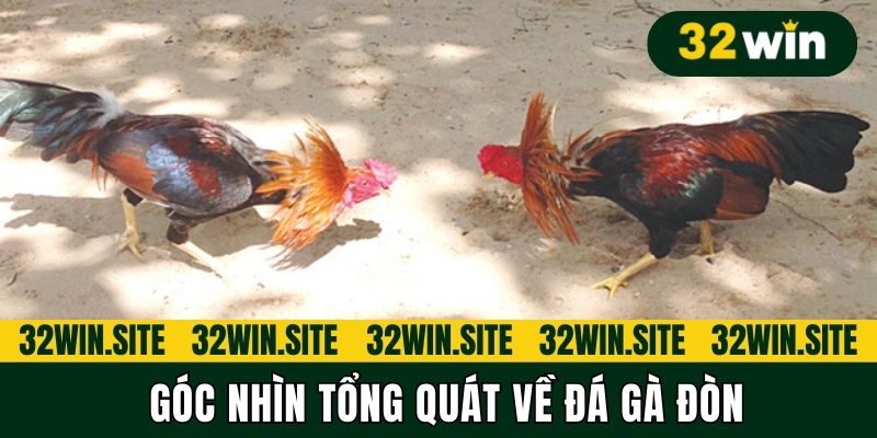 Góc nhìn tổng quát về đá gà đòn