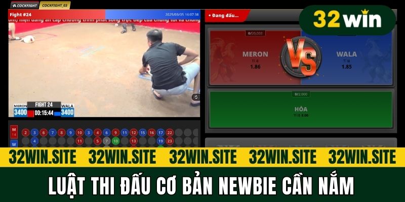 Luật thi đấu cơ bản newbie cần nắm