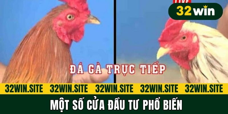 Một số cửa đầu tư phổ biến