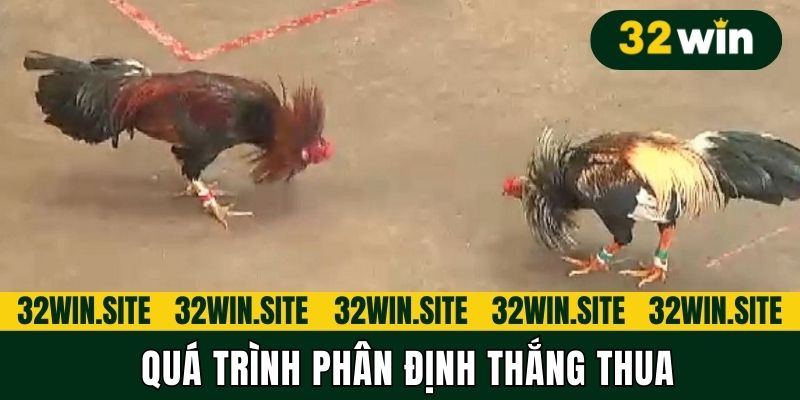 Quá trình phân định thắng thua