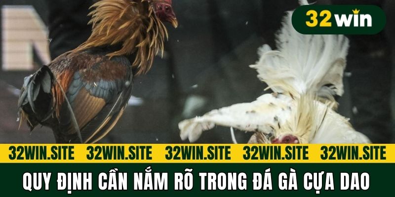 Quy định cần nắm rõ trong Đá gà cựa dao
