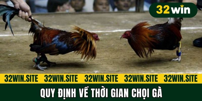 Quy định về thời gian chọi gà