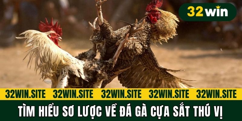 Tìm hiểu sơ lược về đá gà cựa sắt thú vị