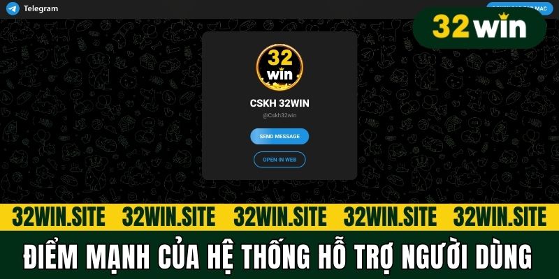Điểm mạnh của hệ thống hỗ trợ người dùng